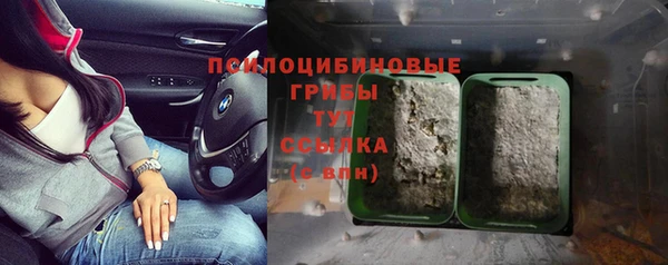 гидропоника Богородск